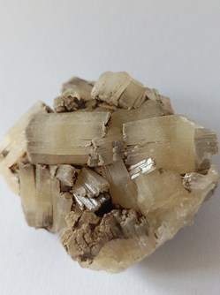 Apatite fibreuse