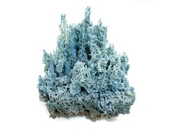 Calcédoine "corail", Aurangabad, Maharashtra, Inde.