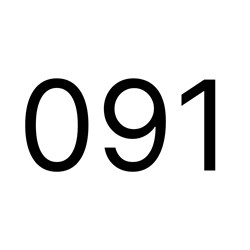 091