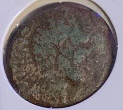 Bronze VICICNO EPPVDVNO variante au cavalier de DT2437