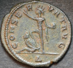 AURELIAN 3143 CONSERVAT AVG