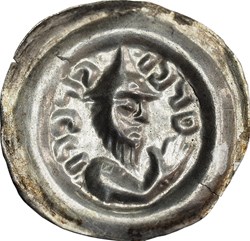 Leszek the White last senior duke of Poland (1202-27) or his successors