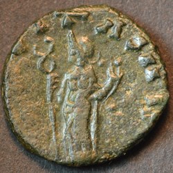 DIVO CLAUDIO FELICITAS AVG hybrid
