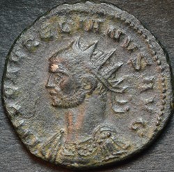 AURELIAN 3219 SOLI INVICTO