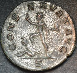 AURELIAN 3150 CONSERVAT AVG