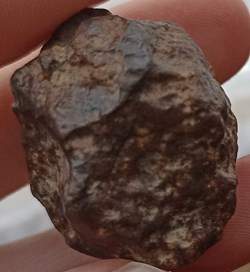 Chondrite Nord Ouest Afrique