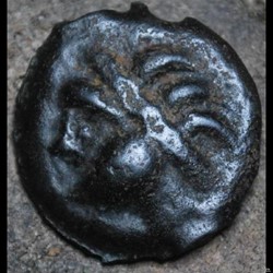 DT 153 potin au sanglier