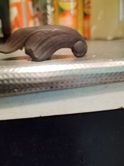 Fibule