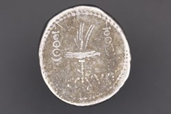 Denier des légions - LEG XVI