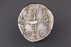 Denier des légions - LEG V