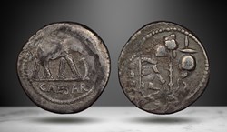 JULIUS CAESAR AR Denarius Elephant 49-44 BC (Error Coin)