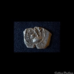 Drachme au sanglier / Fouzilhon
