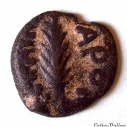 JUDAEA - Porcins Festus Procurateur sous Néron (59 - 60 ap. JC)