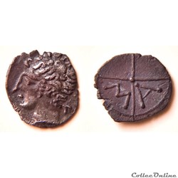Obole au T & MA - Volques Arécomiques -