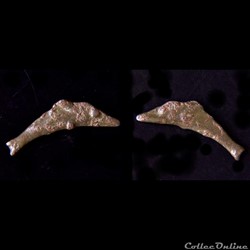 Proto-Monnaie au Dauphin de "Sarmatia Olbia" - Ve au IIIe siècle av. J.-C