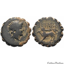 Antiochos VI. Dionysos (144-142 av. J.-C.). Bronze Serratus . Antioche