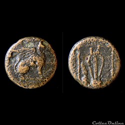 Ionie Teos - Bronze au Griffon & lyre - 4ème au 2ème siècle av.jc