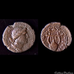 "Provinciale Romaine" Seleucie et Pierie, sous Hadrien (117 - 138 AD)