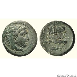 Alexandre III, (336 - 323 av. J.-C.) Unité de Bronze "tête d'Héraclès"
