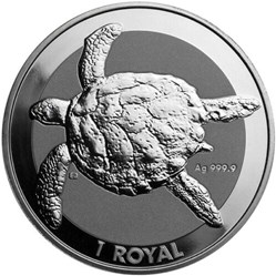 2020 TORTUE ROYALE DE MER