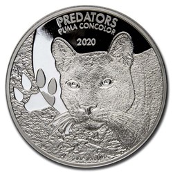 2020 PREDATORS : PUMA CONCOLOR
