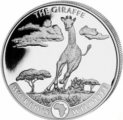 2019 THE GIRAFFE