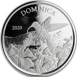 2020 HUMMINGBIRD