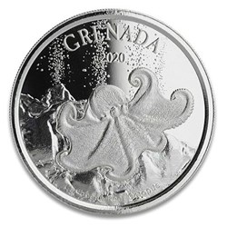 2020 OCTOPUS