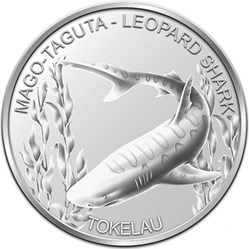 2018 MAGO-TAGUTA-LEOPARD SHARK