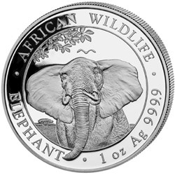 2021 AFRICAN WIDLIFE ELEPHANT