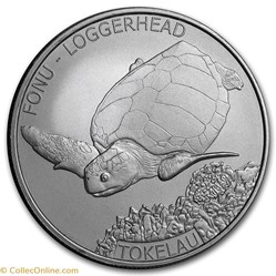 2019 FONU-LOGGERHEAD
