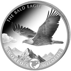 2021 THE BALD EAGLE