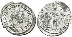 RCV 12346 - Carinus