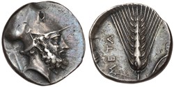 Lucania, Metapont AR Nomos/Didrachm, a. 340–330 BC
