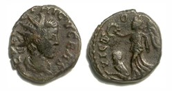 VICTORIA AVGG