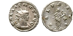 Rome - SALVS AVG