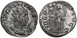 Viminiacum - LIBER-ALITAS AVGG