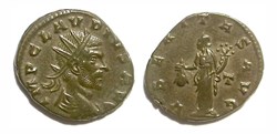 VBERITAS AVG