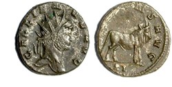 Rome - SOLI CONS AVG