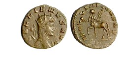 Rome - APOLLINI CONS AVG