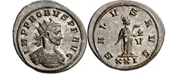 Siscia - SALVS AVG