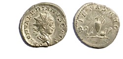 Cologne - Saloninus - PIETAS AVG