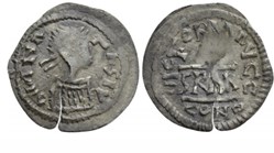 Half siliqua