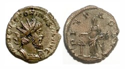 PIETAS AVG