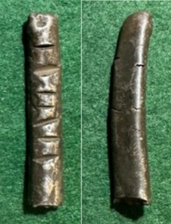 Poltina