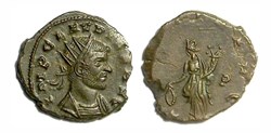 LAETITIA  AVG