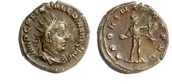 Rome - APOLINI PROPUG
