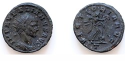 Mediolanum -  VICTORIA AVG