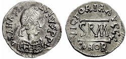Half-Siliqua