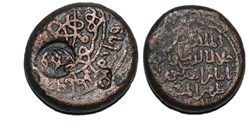Tamar - AE fals